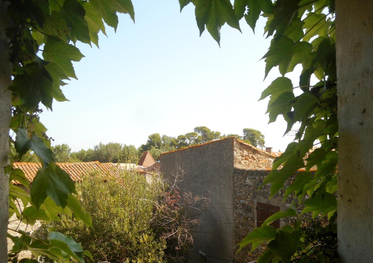 Logis De La Meschaussee, Dans Donjon Du Xie Siecle Canet  Esterno foto